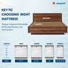 Sleepwell Champ Classic Ortho 5 inch Single Bonded Foam Mattress (L x W: 84 inch x 35 inch)