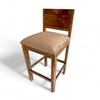 Osian Sheesham Wood Set of 2 Bar Chairs (Caramel Brown Sparkle Velvet Teak Finish)