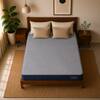 Ortho Premium Spring Pocket Mattress (75 x 36 in, 8 Inches)