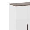 Baltoro Engineered Wood Tall Shoe Rack in White Finish