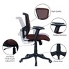 Peacifice Mid Back Ergonomic Chair in Brown Colour