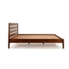 Leed Solid Wood Queen  Size Bed Without Storage (Dark Oak Finish)