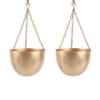Hanging Capsule Planter Set Of 2 In Gold Colour