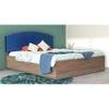 Satya Bed With Premium Leatherette Fabric And Box Storage Queen Bed