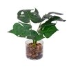 Artificial Swiss Cheese Plant With Glass Pot