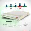 Tatva - Organic Cotton Fabric Latex Mattress (78 x 36 in, 6 Inches)