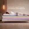 Sleepwell Ortho Mattress Medium Firm Orthopedic Support Resitec Foam Single 75x36x6 Inch