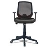 Xxeana Low Back Ergonomic Chair in Black Colour