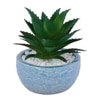Attractive Aloe Vera Plant With Blue Pebble Patterned Design Ceramic Pot