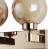 Eliante Modern Wall Lights Mild Steel & Glass Material Gold & Champaign Finish