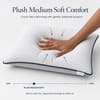 Loom and Needles Micro Fibre Sleeping Pillow Bed Pillow for Sleeping Pack of 2 16x24inch