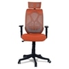 Zeeazyana High Back Ergonomic Chair in Orange Colour