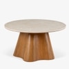 Nira Solid Wood Coffee Table in Brown Colour