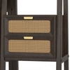Strava Solid Wood and Cane Bookshelf in Dark chestnut Finish