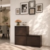 Kamiya Engineered Wood Shoe Rack In Columbian Walnut Finish