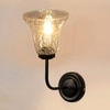 Devansh Metal Electric Wall Light in black Colour with Transparent Shade Count of 1 Light
