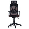 Zeeazyana High Back Ergonomic Chair in Brown Colour