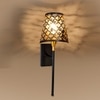 Devansh Metal Electric Wall Light in Black Colour with Black Shade Count of 1 Light