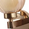 Eliante Modern Wall Lights Mild Steel & Glass Material Gold & Champaign Finish