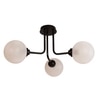 Charlion Large Chandelier By Shoppeefry