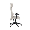 Markus Ergonomic Office Chair High Back in Beige Colour