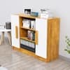 Hexa Engineered Wood Bookshelf in Giant Wood and Frosty White Colour