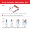 LiveIn Bounce - 3 Zone Pocket Spring with HR Foam Mattress for Zero Motion Transfer (75 x 35 in, 8 Inches)