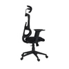 Falcon High Back Mesh Office Chair in Black Colour