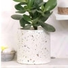 Bryce White Marble Planter