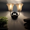 Devansh Steel Electric Wall Light in Steel Colour with Transparent Shade Count of 2 Lights