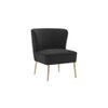 Ruba Accent Chair in Black Colour
