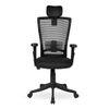 Werner Study Chair in Black Colour
