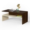 BLUEWUD Taurley Engineered Wood Coffee Center Sofa Tea/Teapoy Console Table for Sofa Set Living Room Home Hall (Brown Maple & Beige)