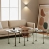 Elara Mild Steel Coffee Table Set of Two in Antique Satin Finish