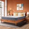 LiveIn Bounce - 3 Zone Pocket Spring with HR Foam Mattress for Zero Motion Transfer (78 x 36 in, 6 Inches)