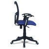 Eexcaeal Mid Back Ergonomic Chair in Blue Colour