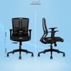 Regalia Mid Back Mesh Office Chair in Black Colour