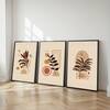 The Castle Decor Boho Abstract Botanical Wall Art Set of 3 Design 9 11x17 Inch