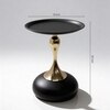 CalmEdge Metal Side Table in Golden & Black Colour