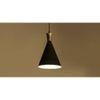 Noir Hanging Lamp