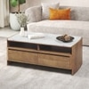 Tavo Solid Wood and Banswara Coffee Table In Golden ash Finish
