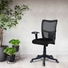 Eexcaeal Mid Back Ergonomic Chair in Black Colour