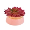 Vibrant Planter With Crimson Artificial Succulent Plant