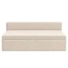 Marteen 2 Seater Velvet Pull Out Sofa Cum Bed in Cream Color With Storage