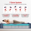 Zone Magno Pocket Pro Spring Mattress (78 x 48 in, 10 Inches)