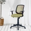 Xxeana Low Back Ergonomic Chair in Pearl Green Colour