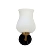Devansh Metal Electric Wall Light in Black Colour with Multi Shade Count of 1 Light