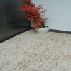 Textured Carpet 5 X 7