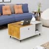 Hexa Engineered Wood Center Table With Storage And Open Rack In Frosty White And Giant Wood