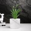 Attractive Faux Plant With White Ceramic Pot